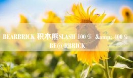 BEARBRICK 积木熊SLASH 100％ & 400％ BE@RBRICK