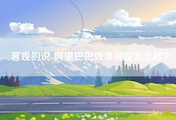 客观的说-阿里巴巴效果现在怎么样？
