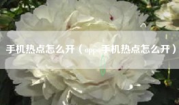 手机热点怎么开（oppo手机热点怎么开）