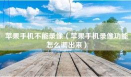 苹果手机不能录像（苹果手机录像功能怎么调出来）