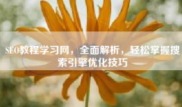 SEO教程学习网，全面解析，轻松掌握搜索引擎优化技巧