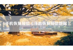 手机恢复短信（手机恢复短信数据）