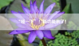 “碰一下”！新功能来了！