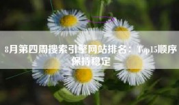 8月第四周搜索引擎网站排名：Top15顺序保持稳定