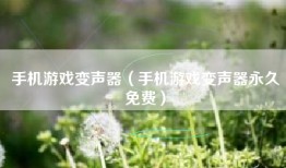 手机游戏变声器（手机游戏变声器永久免费）
