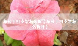 车载手机支架怎么拆（车载手机支架怎么拆开）