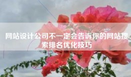 网站设计公司不一定会告诉你的网站搜索排名优化技巧