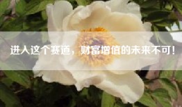 进入这个赛道，财富增值的未来不可！
