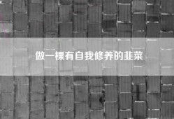 做一棵有自我修养的韭菜