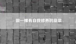 做一棵有自我修养的韭菜