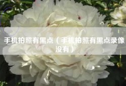 手机拍照有黑点（手机拍照有黑点录像没有）
