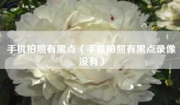 手机拍照有黑点（手机拍照有黑点录像没有）