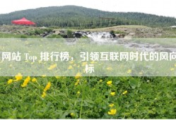 网站 Top 排行榜，引领互联网时代的风向标