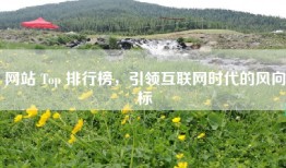 网站 Top 排行榜，引领互联网时代的风向标