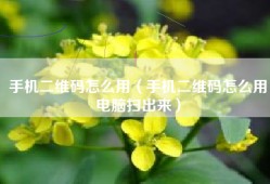 手机二维码怎么用（手机二维码怎么用电脑扫出来）