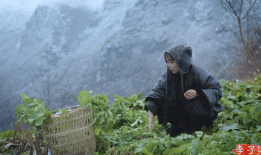 李子柒终于回来了，还是很美