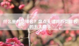 什么是网站排名？盘点关键词首页排名的五大助手