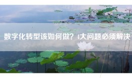 数字化转型该如何做？4大问题必须解决