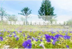 手机离婚（手机离婚怎么离我要）