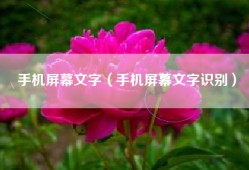 手机屏幕文字（手机屏幕文字识别）