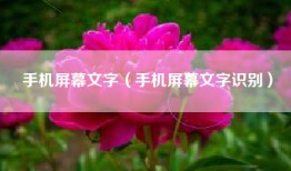 手机屏幕文字（手机屏幕文字识别）