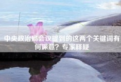 中央政治局会议提到的这两个关键词有何深意？专家释疑