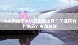 中央政治局会议提到的这两个关键词有何深意？专家释疑
