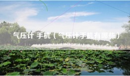 气压计 手机（气压计手机有哪些）