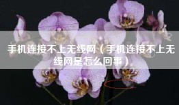 手机连接不上无线网（手机连接不上无线网是怎么回事）