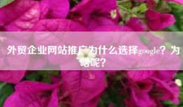 外贸企业网站推广为什么选择google？为啥呢？