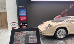 雷军之后，刘强东重仓汽车