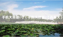 手机大屏幕8寸（手机大屏幕8寸有多大）