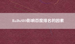 BaiDuSEO影响百度排名的因素