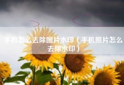 手机怎么去除图片水印（手机照片怎么去除水印）