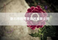 磐石市双莹免烧砖有限公司