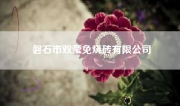 磐石市双莹免烧砖有限公司