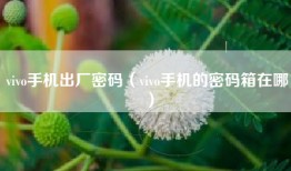 vivo手机出厂密码（vivo手机的密码箱在哪）