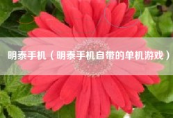 明泰手机（明泰手机自带的单机游戏）