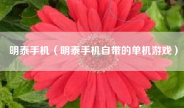 明泰手机（明泰手机自带的单机游戏）