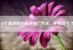 10个高效的小程序推广方式，不用就亏了