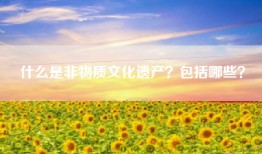 什么是非物质文化遗产？包括哪些？