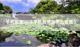 手机报警app（手机报警器怎么设置）
