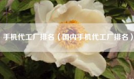 手机代工厂排名（国内手机代工厂排名）