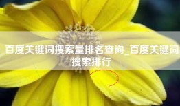 百度关键词搜索量排名查询_百度关键词搜索排行