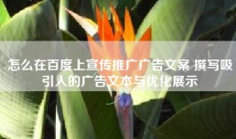 怎么在百度上宣传推广广告文案 撰写吸引人的广告文本与优化展示