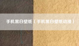手机黑白壁纸（手机黑白壁纸动漫）