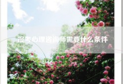 报考心理咨询师需要什么条件
