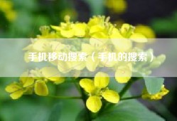 手机移动搜索（手机的搜索）