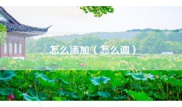 怎么添加（怎么调）