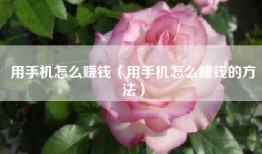 用手机怎么赚钱（用手机怎么赚钱的方法）